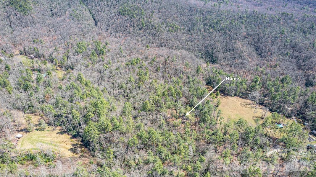 Natural landscape and outdoor views near  in Brevard (Image 20).