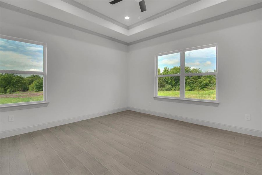 Unfurnished room with plenty of natural light, a tray ceiling, a ceiling fan, light wood-style floors, and crown molding Unfurnished room with plenty of natural light, a tray ceiling, a ceiling fan, light wood-style floors, and crown molding