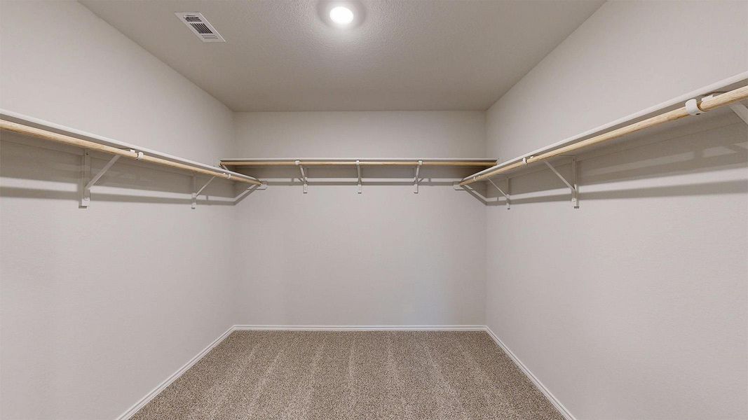 Walk-in closet featuring carpet flooring, crisp white walls, and a recessed ceiling light