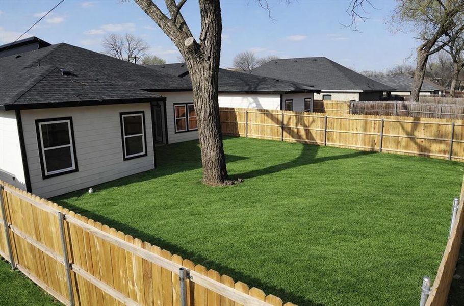 Grass color has been enhanced in this image. Grass color has been enhanced in this image.