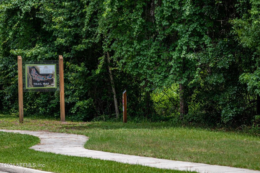 Natural landscape and outdoor views near TrailMark in St. Augustine (Image 61).