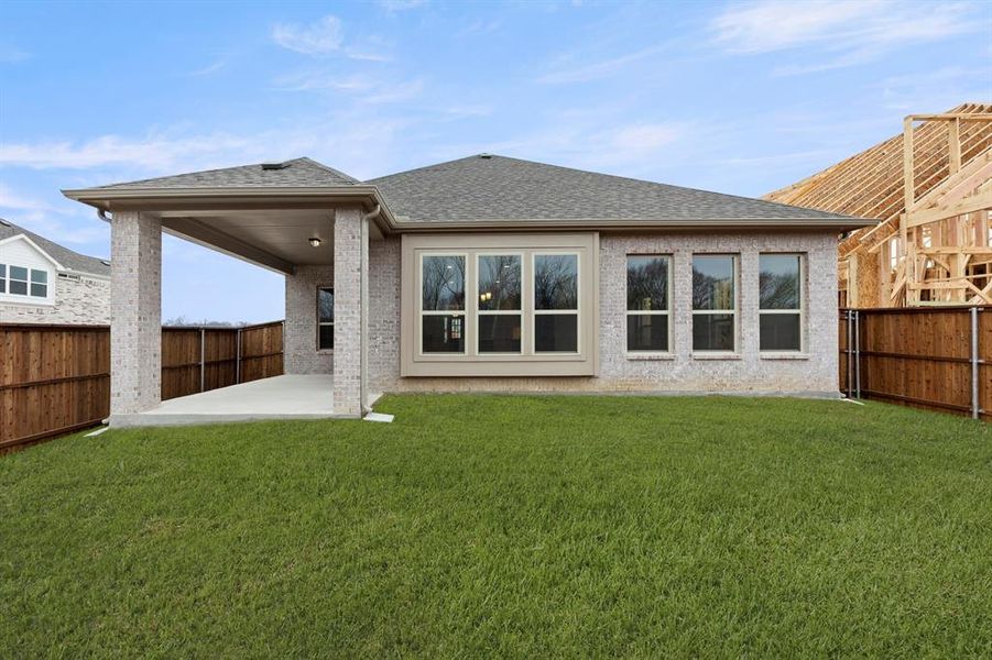 26. 721 Phoenix - Back