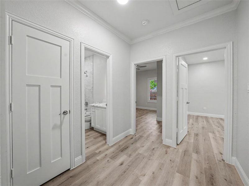 Hallway featuring light wood-finish flooring, white paneled doors, and crown molding