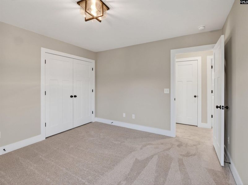 Spacious, unfurnished interior of a new home in Collins Cove, Chapin (Image 37).