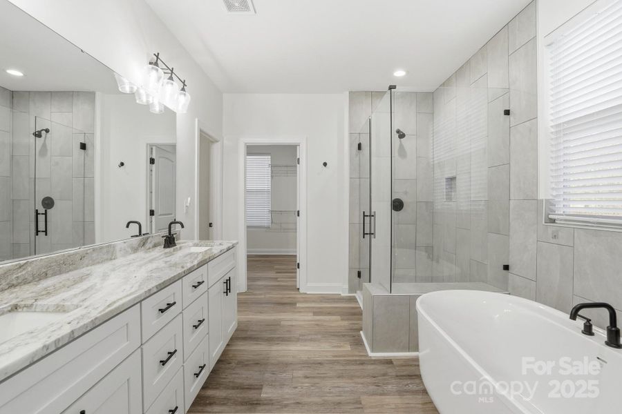 Main Floor Master/Primary Bathroom