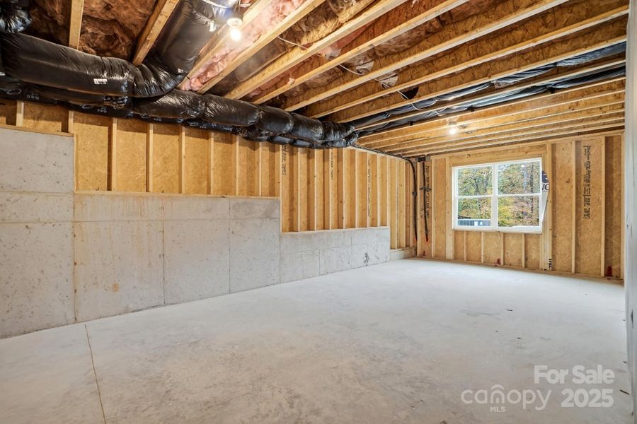 Homesite 30 features a basement with unfinished storage space