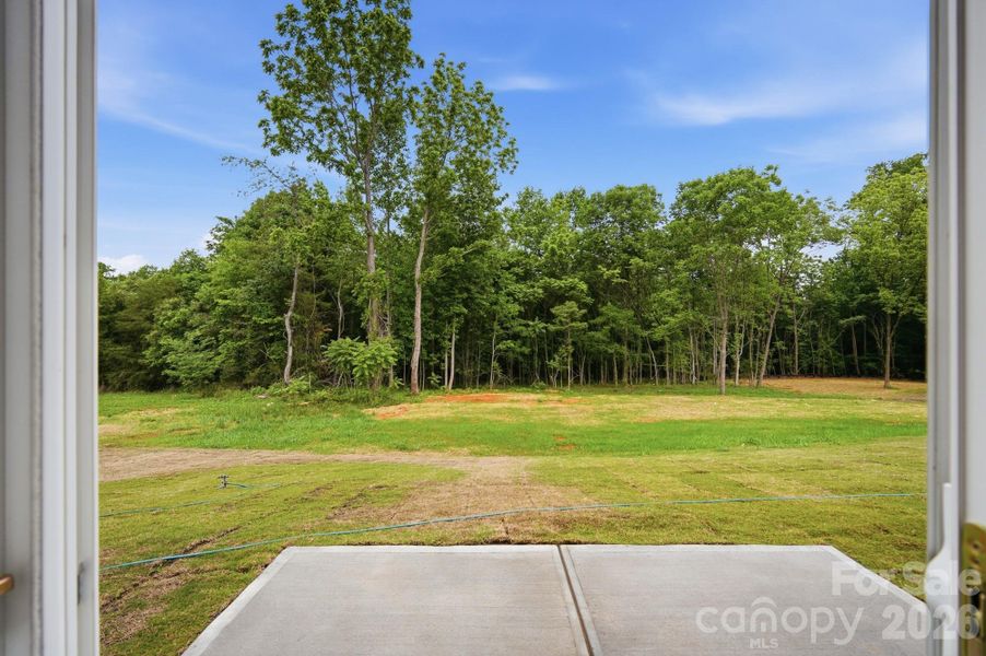 Backyard with Patio