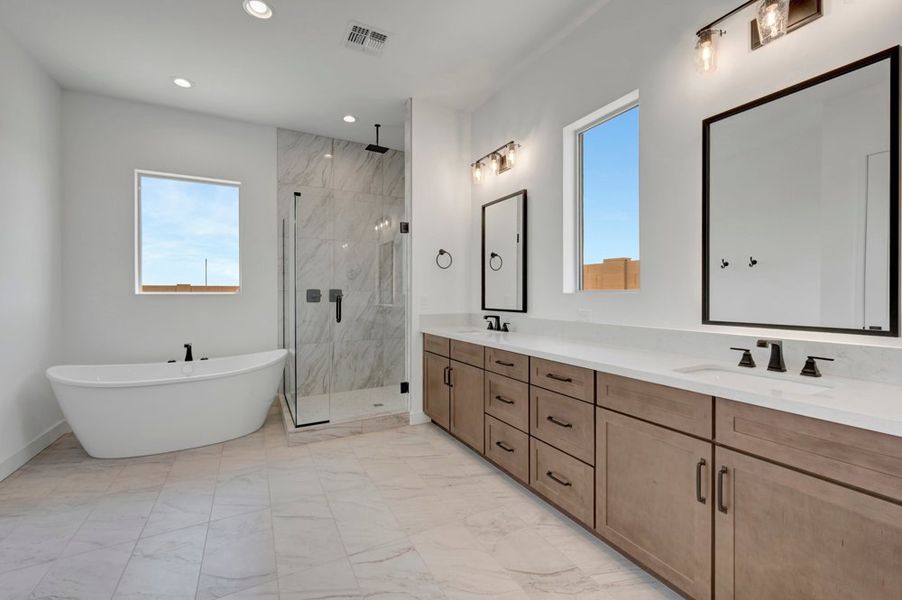 Owner's Bath Owner's Bath
