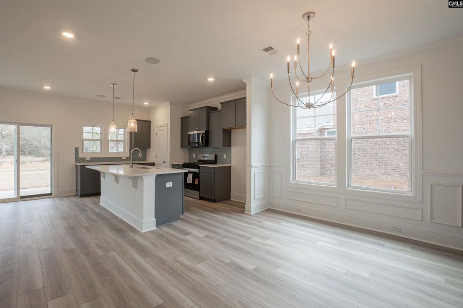 Furnished interior view inside a new home in Beach Forest, Sumter (Image 6). Furnished interior view inside a new home in Beach Forest, Sumter (Image 6).