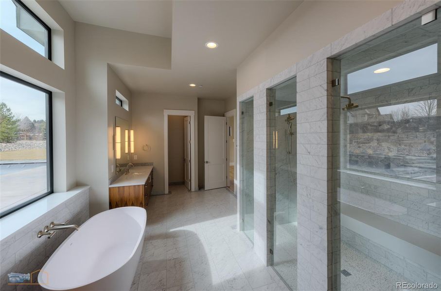 Primary Bath with Steam Shower