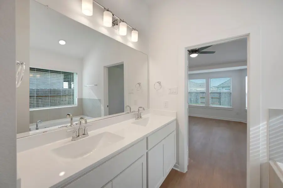 Owner's Bathroom