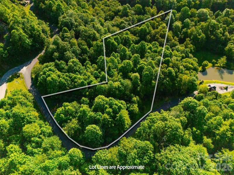 Natural landscape and outdoor views near  in Boone (Image 35).