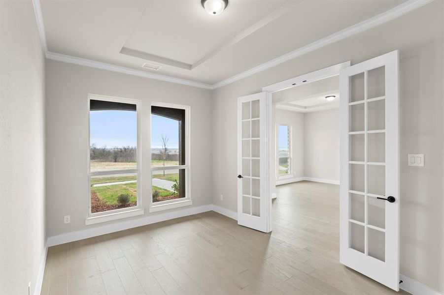 04. 9916 Polo Pitch - Study