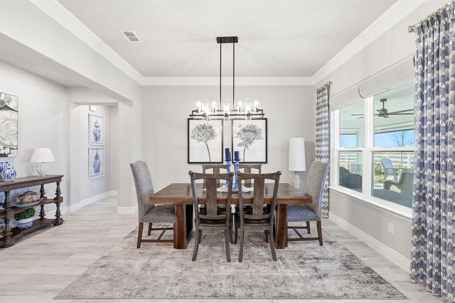 Dining space with crown molding, a chandelier, light wood-style floors, and a ceiling fan
