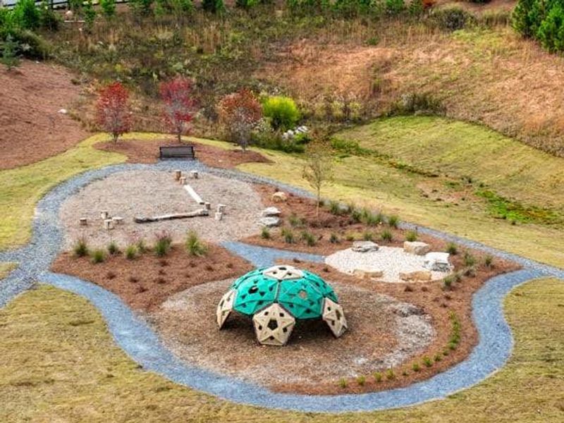 Community amenities in Stratford Hills, Ball Ground (Image 41).