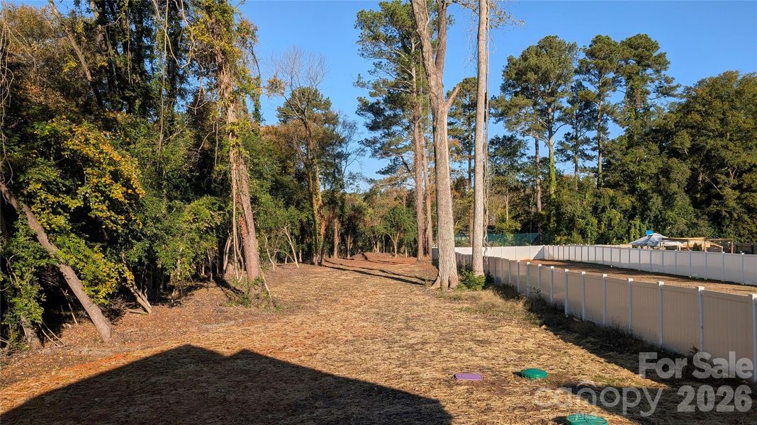 Natural landscape and outdoor views near  in Rock Hill (Image 20).