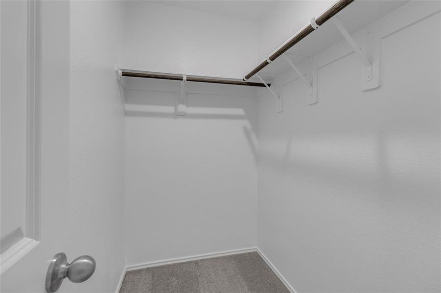 This is a expansive 2nd bedroom, empty walk-in closet with built-in shelving and a hanging rod, featuring neutral walls and carpeted flooring. Perfect for organizing your wardrobe and storage needs.