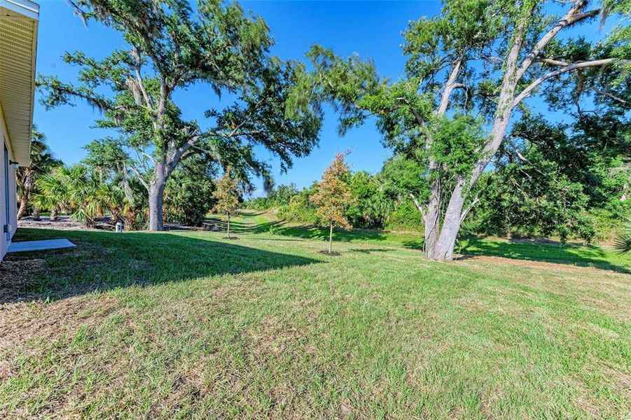 Natural landscape and outdoor views near  in North Port (Image 56).