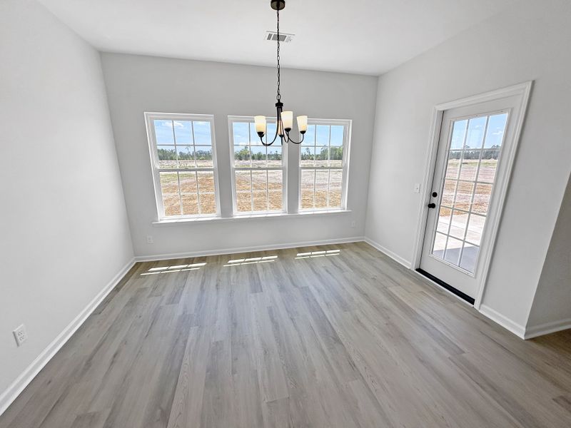 Spacious, unfurnished interior of a new home in Doctor's Creek, Ludowici (Image 16).