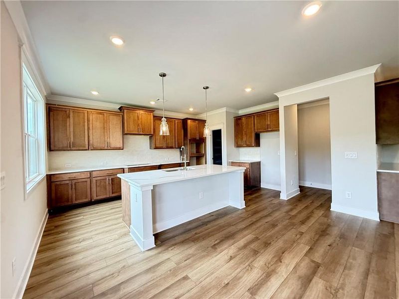 Furnished interior view inside a new home in Ponderosa Farms Manor, Gainesville (Image 7). Furnished interior view inside a new home in Ponderosa Farms Manor, Gainesville (Image 7).