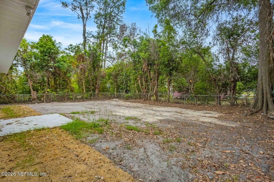 Natural landscape and outdoor views near  in Starke (Image 21).