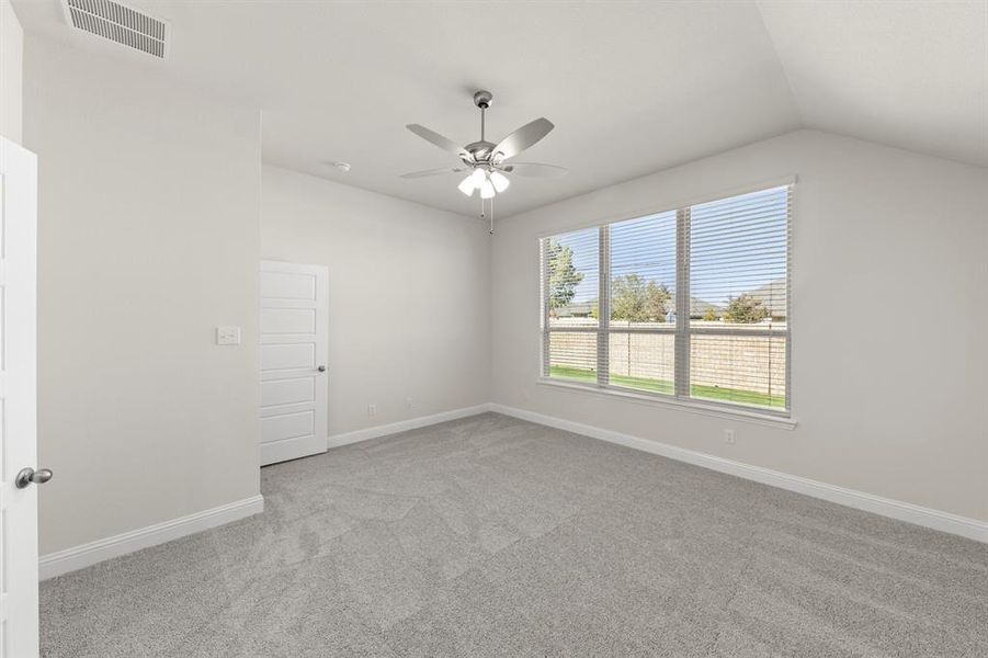 18. 139 Whistling Duck - Primary