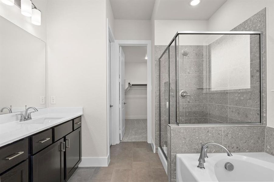 Discovery Collection at Painted Tree