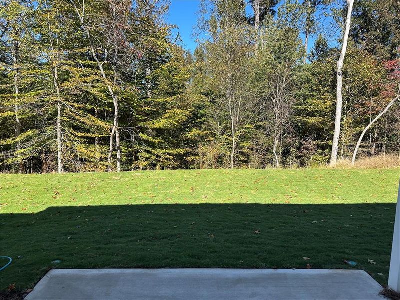 Natural landscape and outdoor views near Millstone at Mundy Mill in Gainesville (Image 24). Natural landscape and outdoor views near Millstone at Mundy Mill in Gainesville (Image 24).