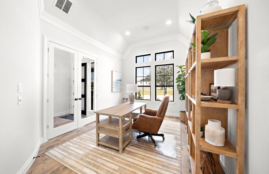 **Representative photo**