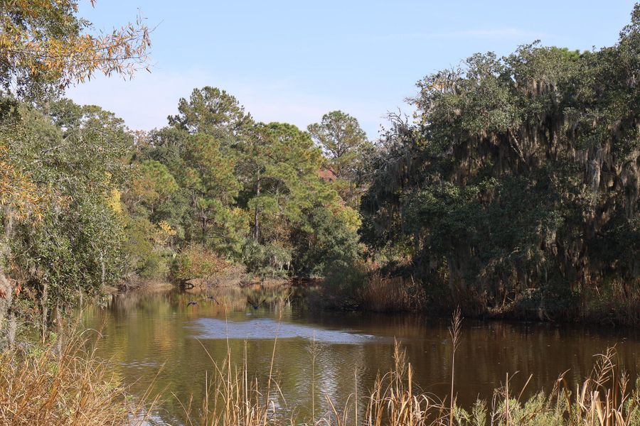 Natural landscape and outdoor views near Discover Series in Charleston (Image 17).