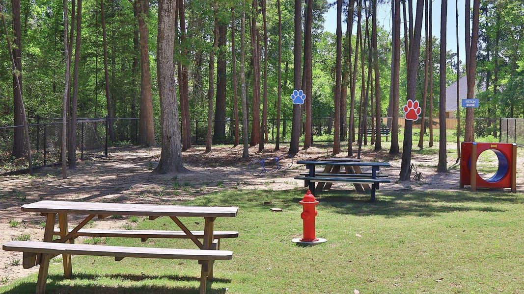 Community amenities in Grand Central Park, Conroe (Image 14). Community amenities in Grand Central Park, Conroe (Image 14).