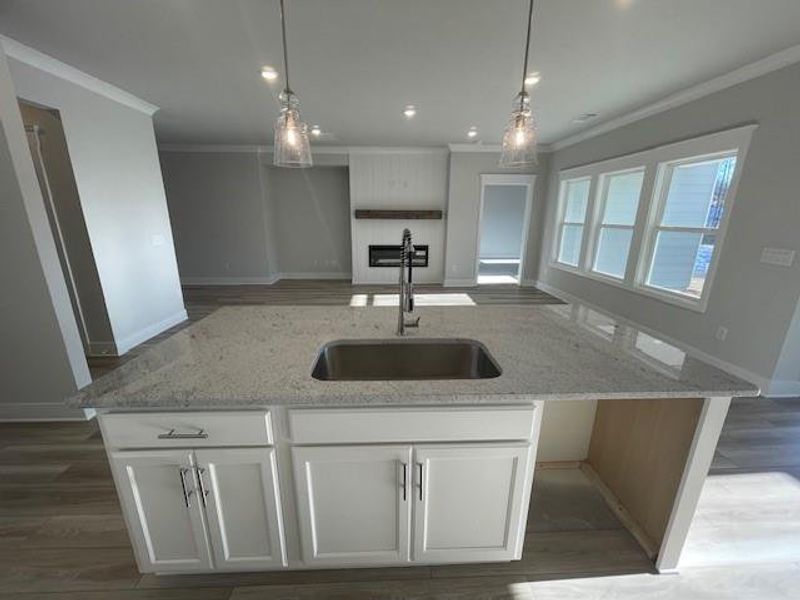 Furnished interior view inside a new home in Ponderosa Farms Estates, Gainesville (Image 12).
