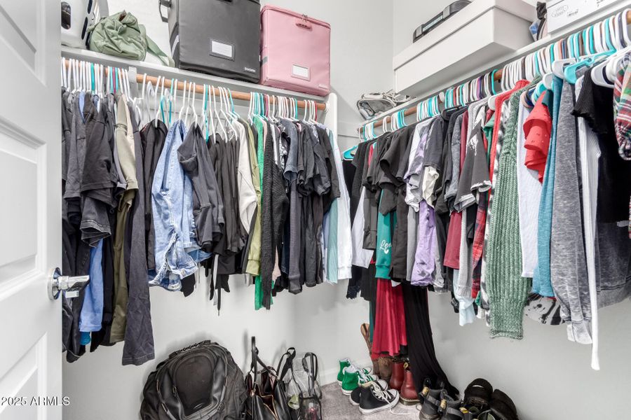 20 - Excelsior 20 - Excelsior