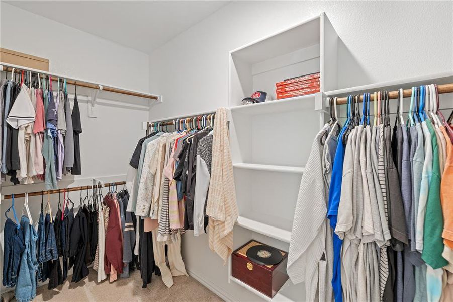 Spacious closet featuring light carpet