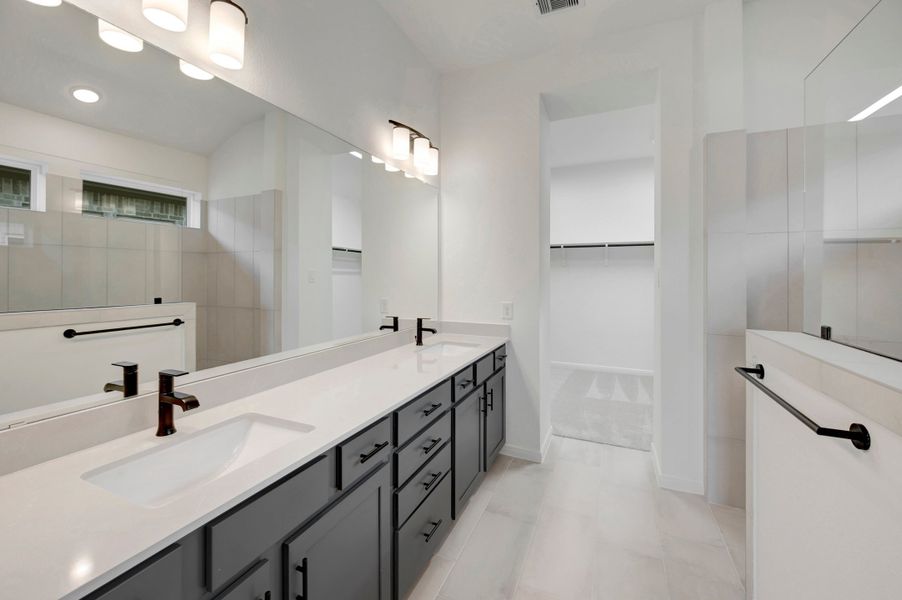 Owner's Bath