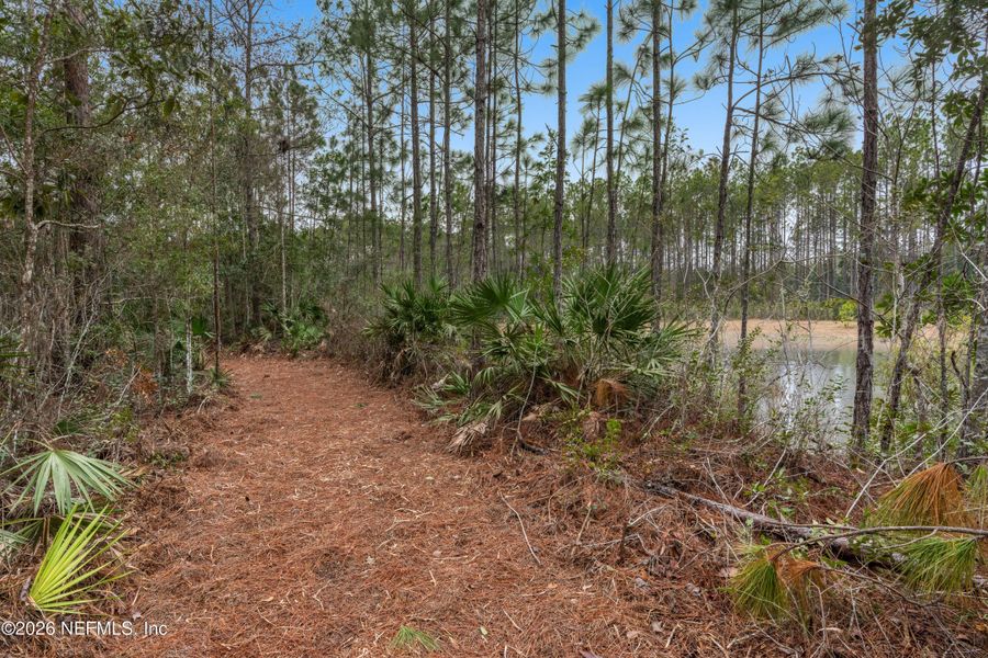 Natural landscape and outdoor views near Evergreen Island at Silverleaf - Executive in St. Augustine (Image 8).