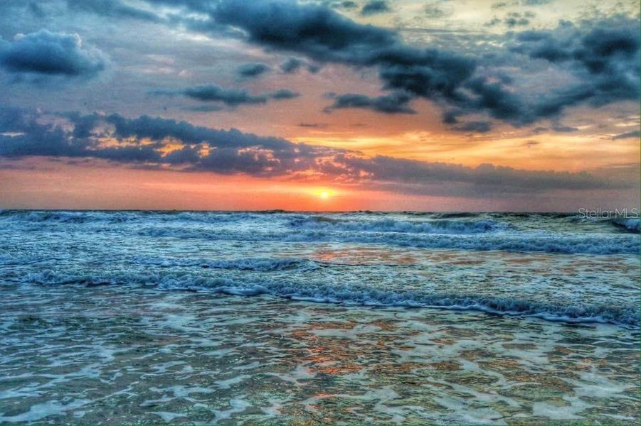 Natural landscape and outdoor views near  in Palm Coast (Image 32).