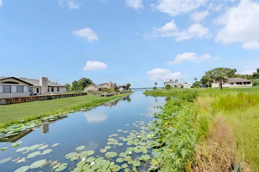 Natural landscape and outdoor views near  in Micanopy (Image 35).