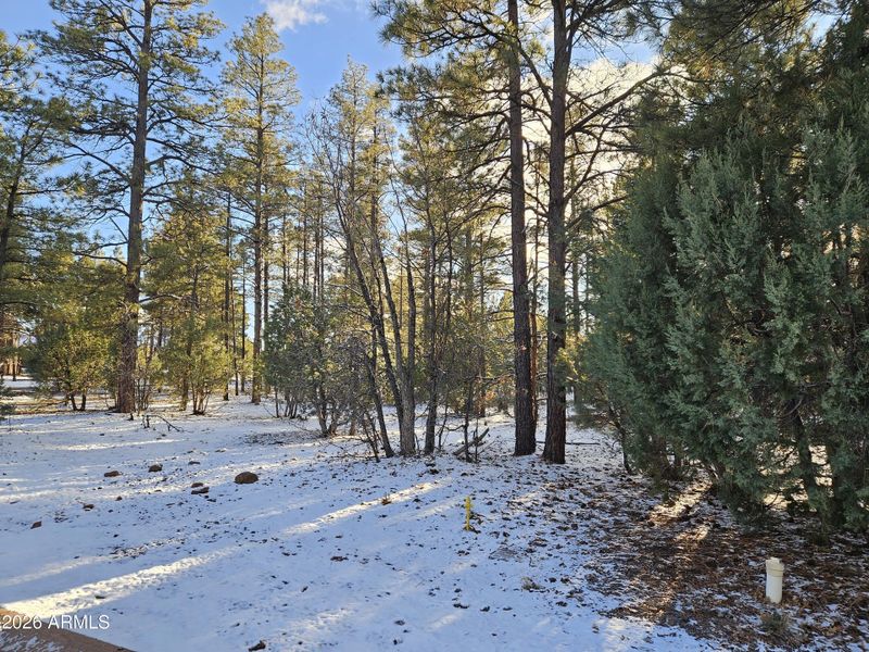 20260109_160640 20260109_160640