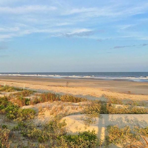 Natural landscape and outdoor views near in Johns Island (Image 47). Natural landscape and outdoor views near in Johns Island (Image 47).