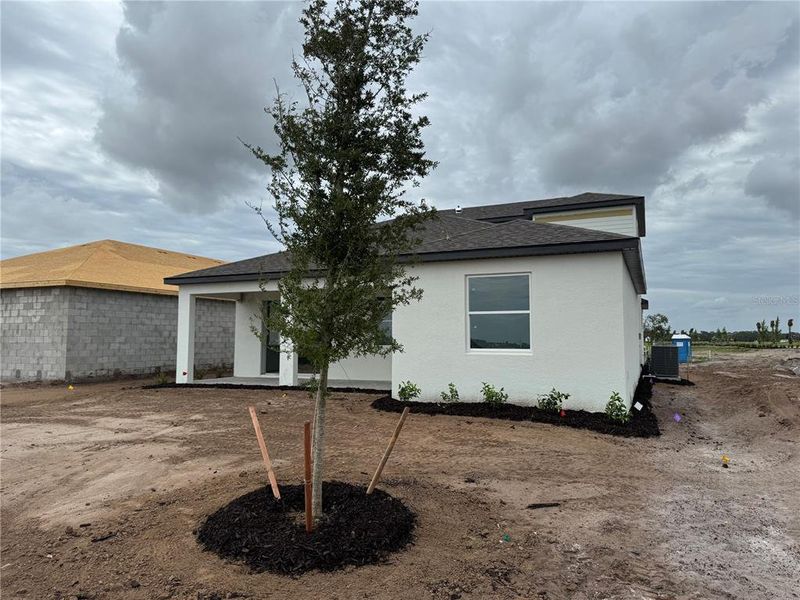 Exterior details and patio area of a home in Coasterra, Palmetto (Image 3).