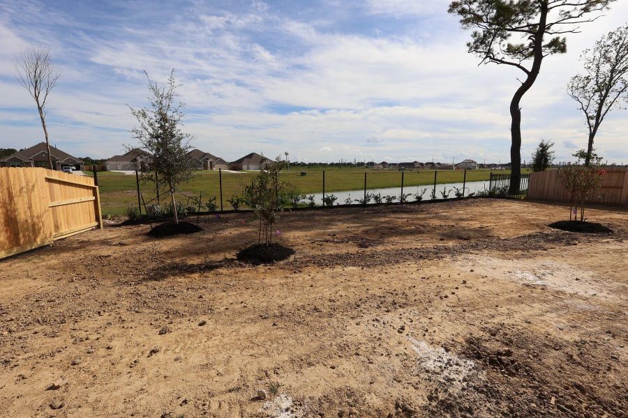 Backyard - still under construction! Backyard - still under construction!