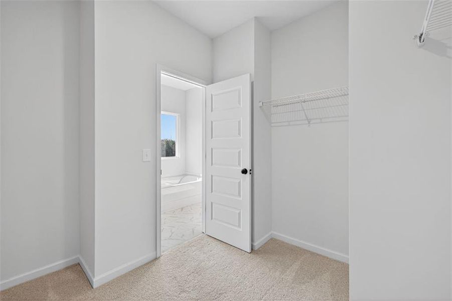 Spacious, unfurnished interior of a new home in Kingston Park, Kingston (Image 32).