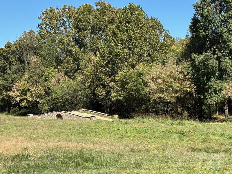 The Red Hill walking trail bridge.
