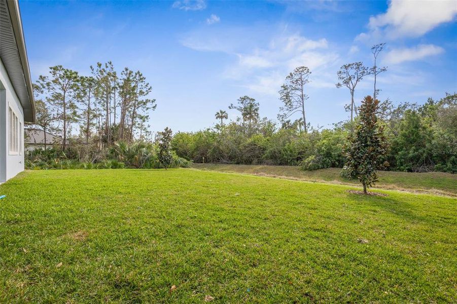 Exterior details and patio area of a home in Palm Coast Plantation, Palm Coast (Image 29).