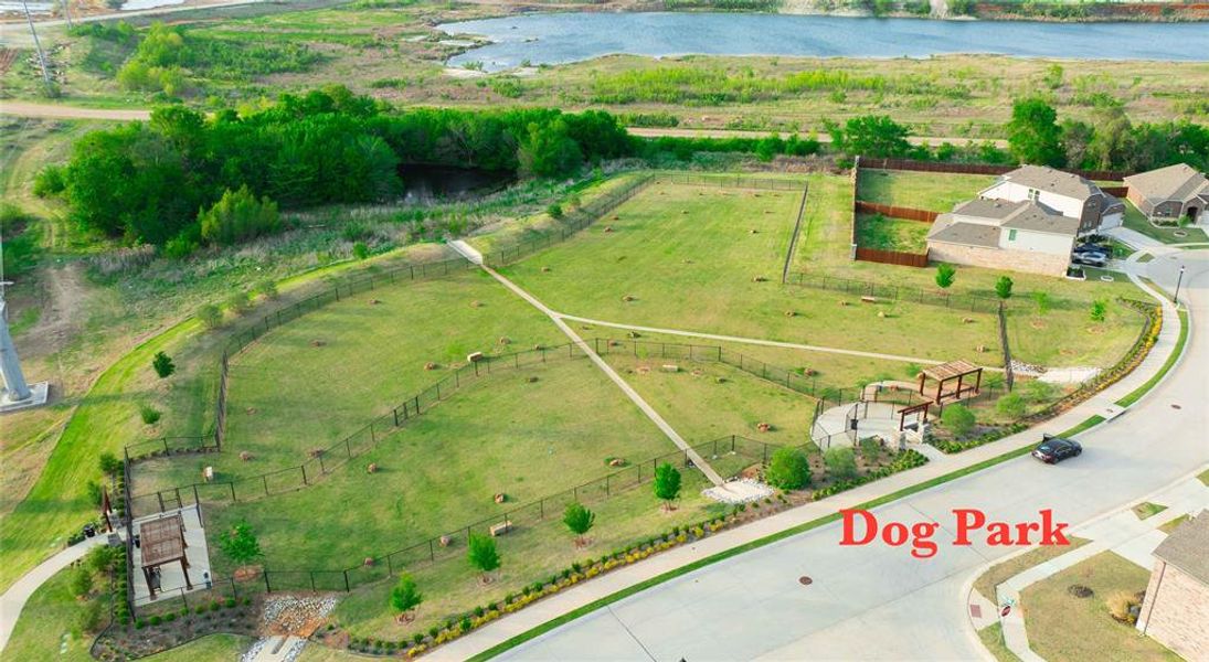Community dog park featuring multiple fenced areas for recreation Community dog park featuring multiple fenced areas for recreation