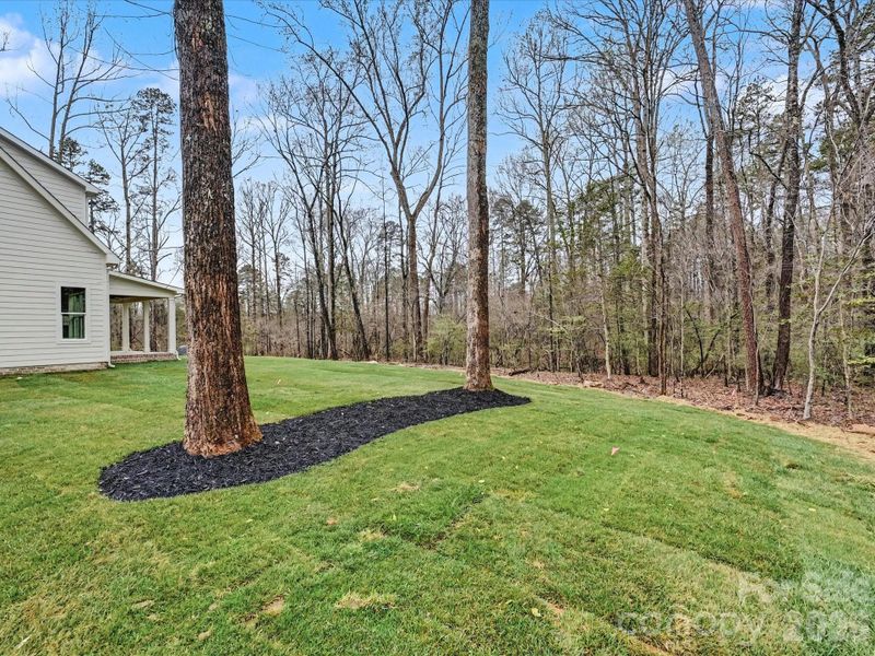 Natural landscape and outdoor views near  in Clover (Image 43).