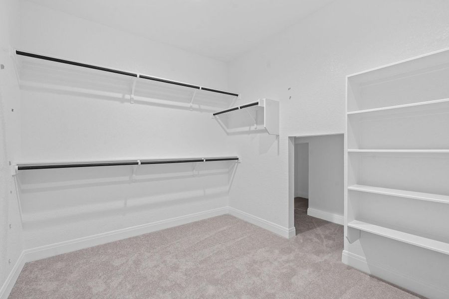 Spacious closet featuring light carpet