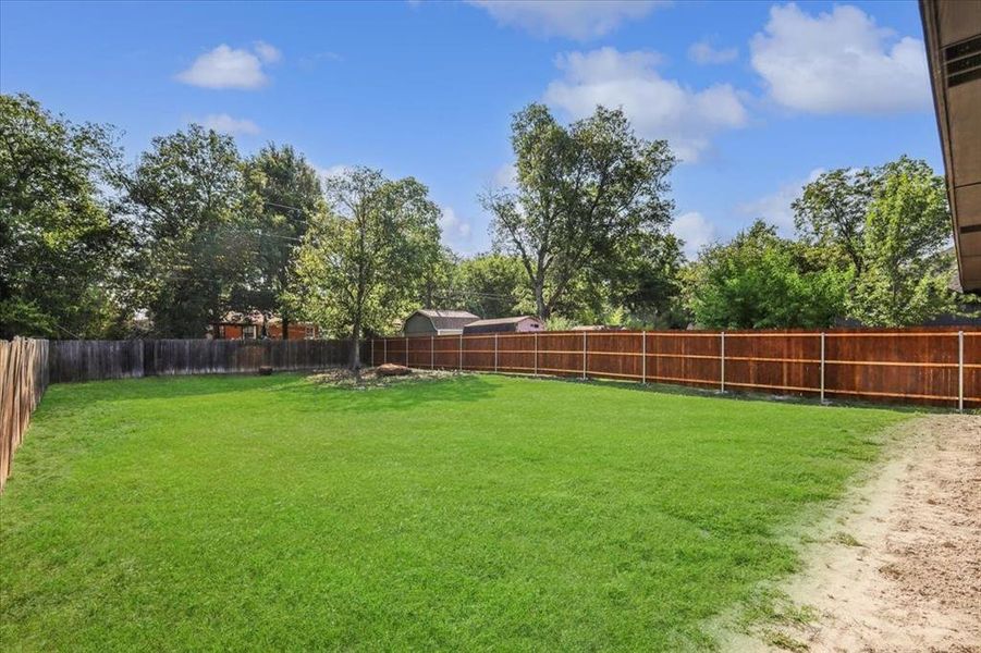 View of fenced backyard