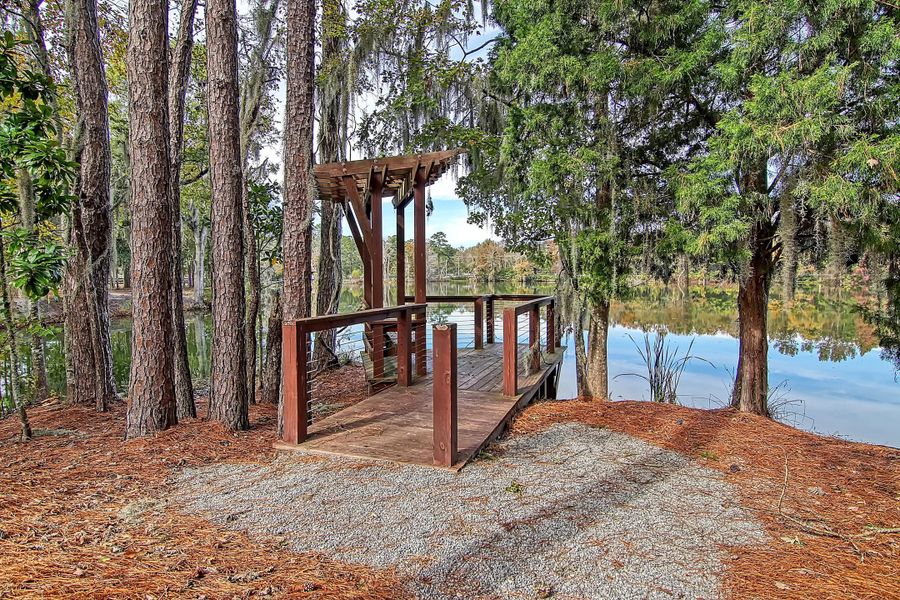 Community amenities in Heron's Walk at Summers Corner, Summerville (Image 52).